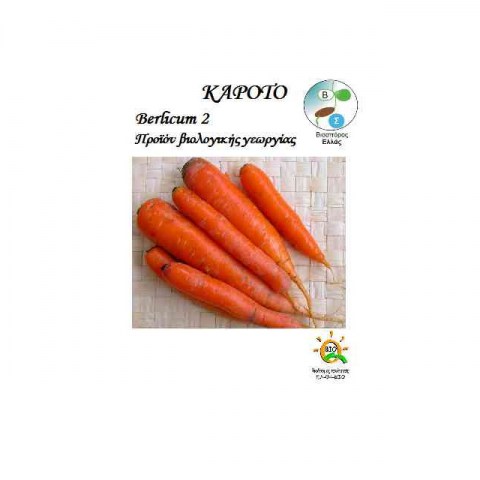 Καρότο Berlicum